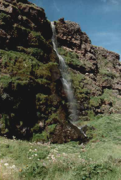 Dr&iacute;fandi